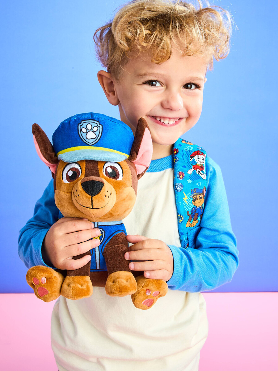 paw patrol teeny tiny backpack with detachable plush toy
