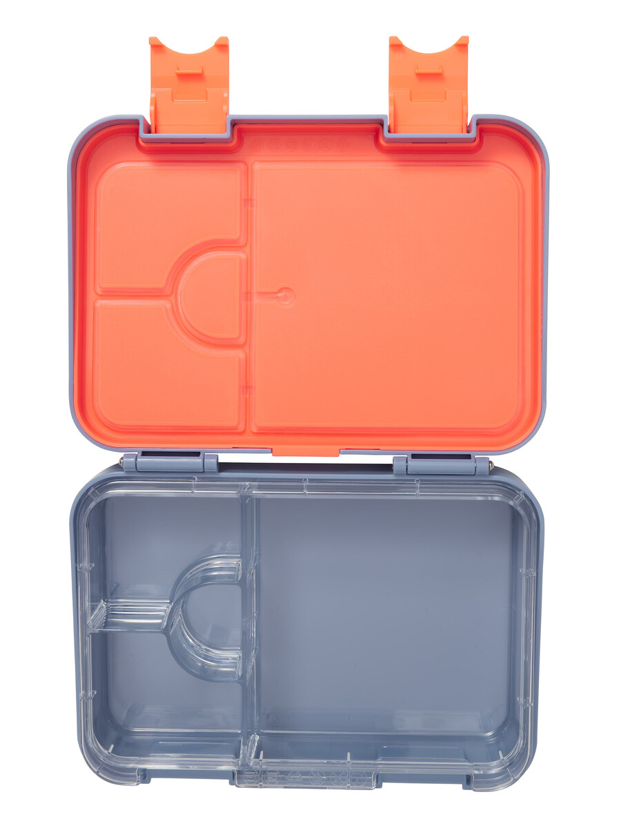 neon splice medium bento lunchbox