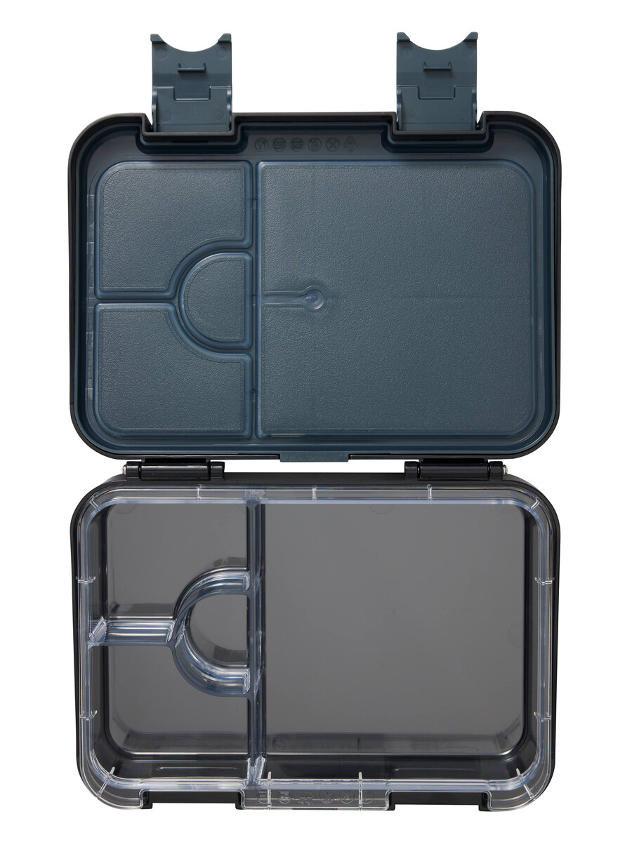 adventurous medium bento lunchbox