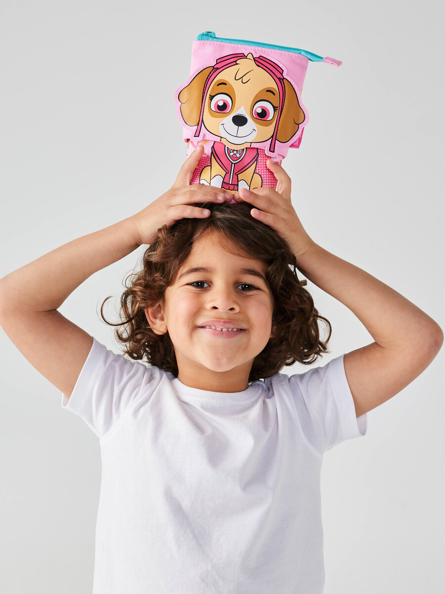 paw patrol stand n slide 2 in 1 pencil case