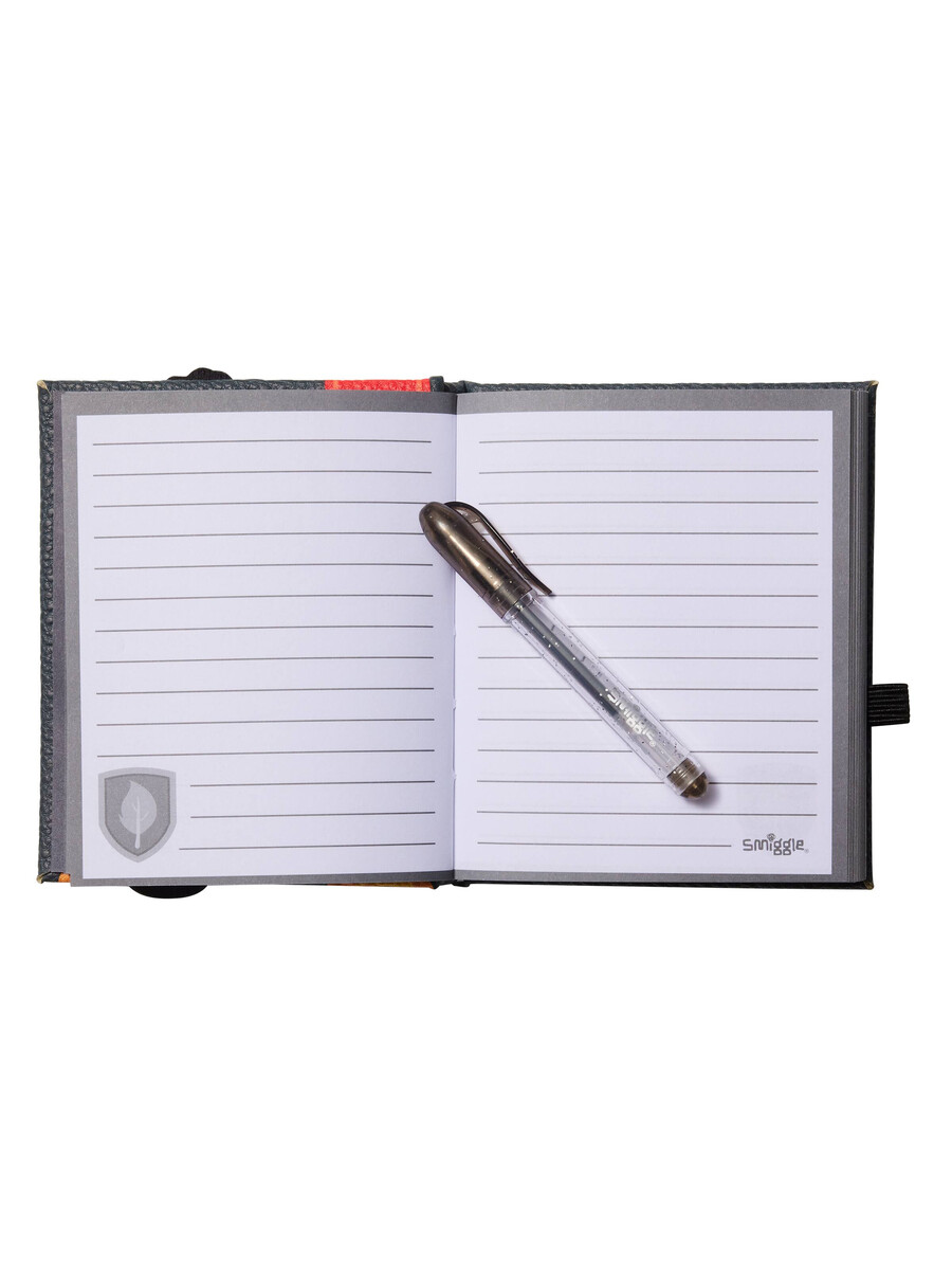 dragon trails mini notebook