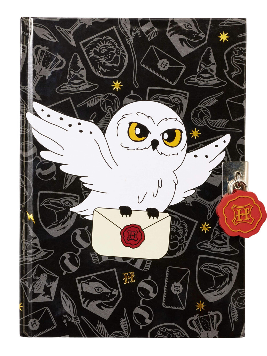 harry potter a5 lockable notebook