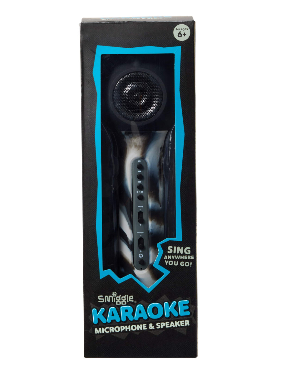 karaoke microphone and speaker
